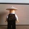 Sensei Wu. Plecy