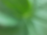 Avatar użytkownika